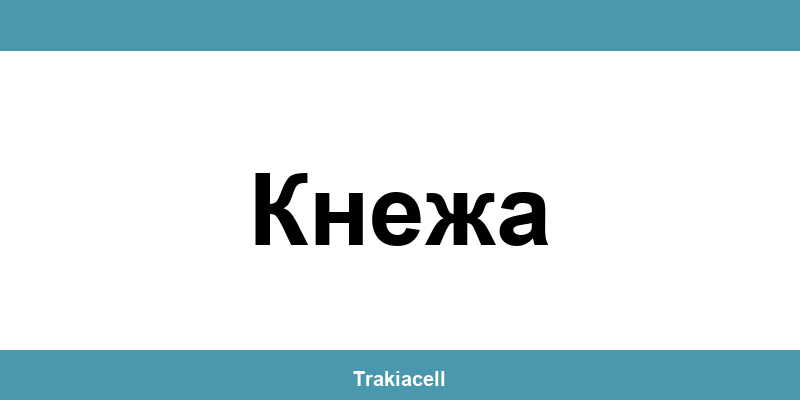 Телефон на Булсатком и офиси в Кнежа (Knezha)
